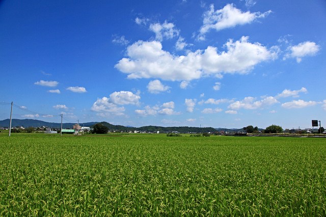 a0242438_1951943.jpg