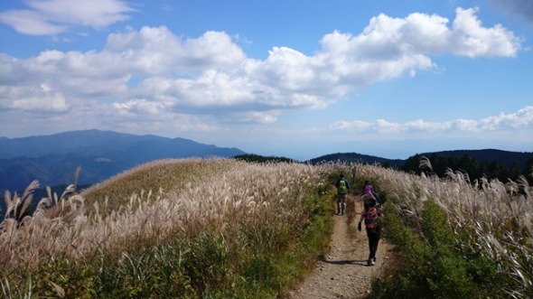 b0148050_1104947.jpg