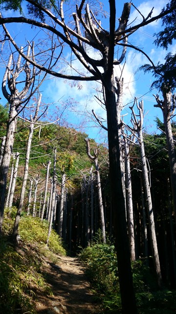 b0148050_11102223.jpg