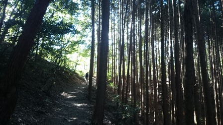b0148050_1110848.jpg