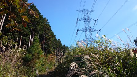 b0148050_11112232.jpg