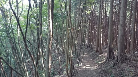 b0148050_11114172.jpg