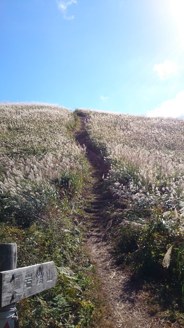 b0148050_11124380.jpg