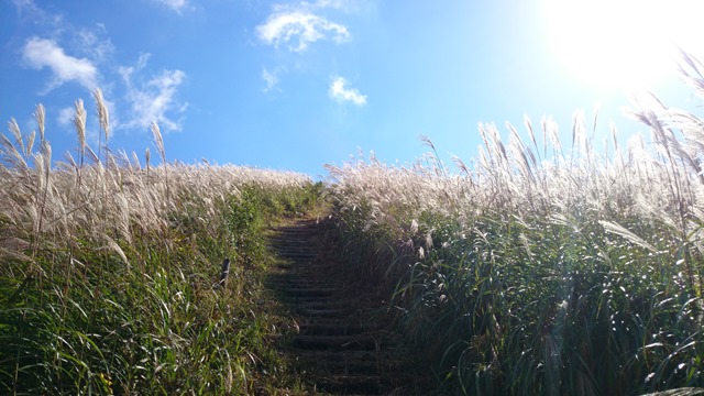 b0148050_11125615.jpg