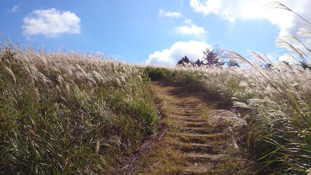 b0148050_1113281.jpg