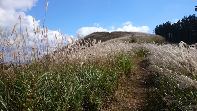 b0148050_11135775.jpg