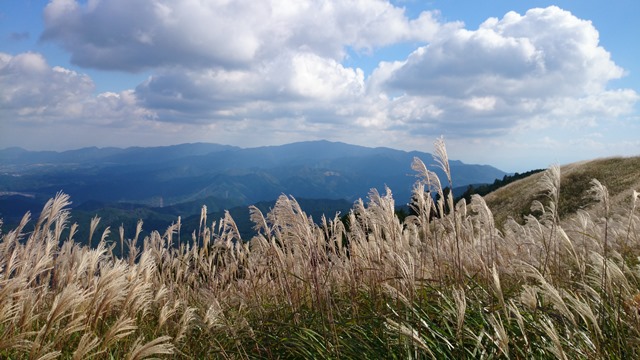 b0148050_1115495.jpg