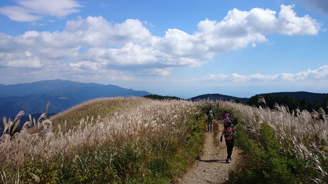 b0148050_11161281.jpg