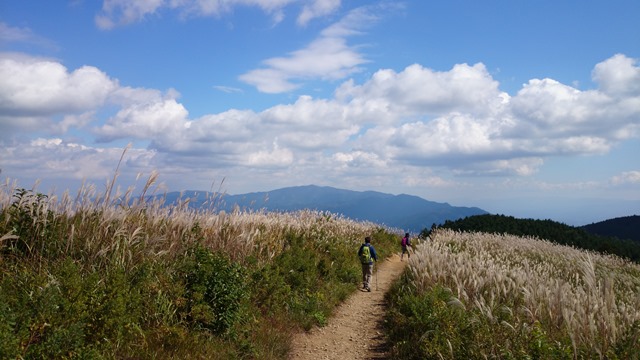 b0148050_11162059.jpg