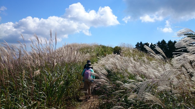 b0148050_111651.jpg