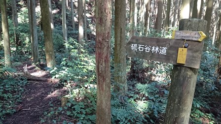 b0148050_11174666.jpg