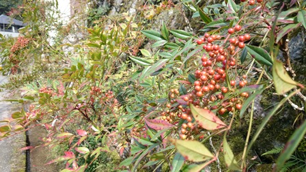 b0148050_11283765.jpg