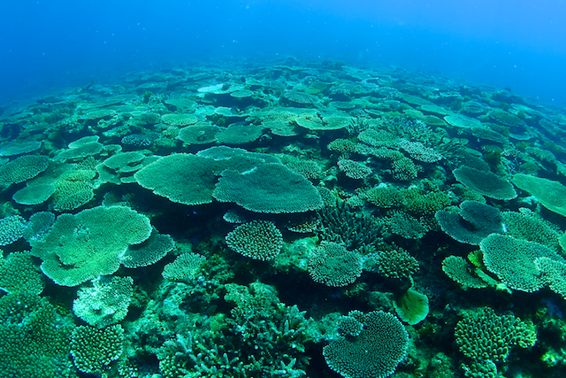 b0062363_1426445.png