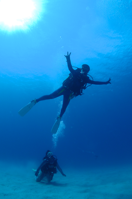 b0062363_14341467.png