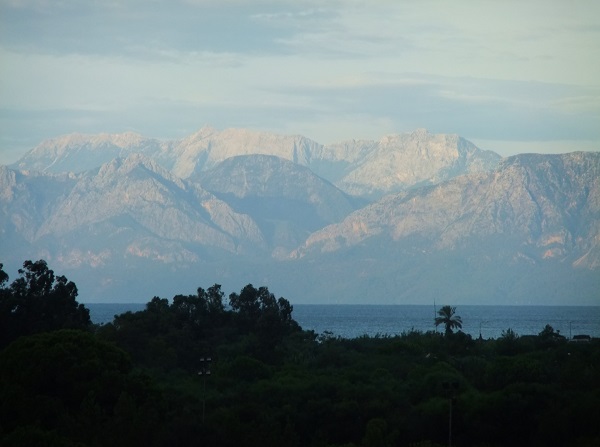 f0097363_1834958.jpg