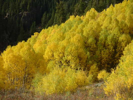c0115366_13164418.jpg