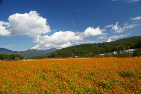 e0045768_22215746.jpg