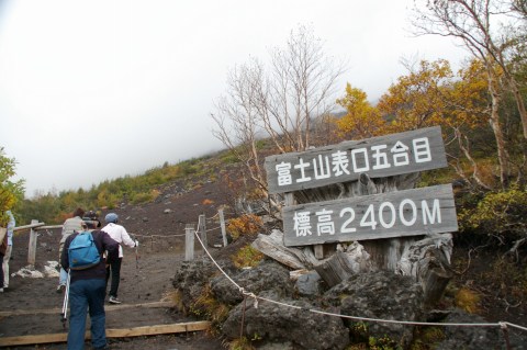 e0045768_2262616.jpg