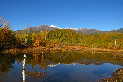 f0182173_10351251.jpg