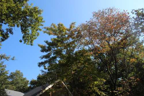 e0114977_19331557.jpg