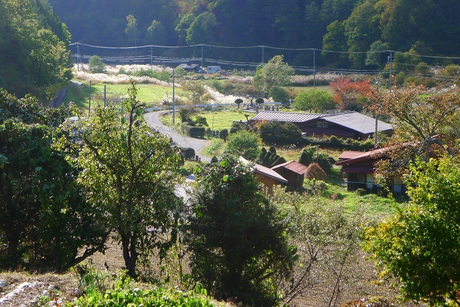a0130586_22185514.jpg