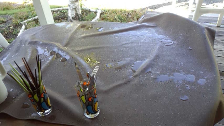 a0130586_22225394.jpg