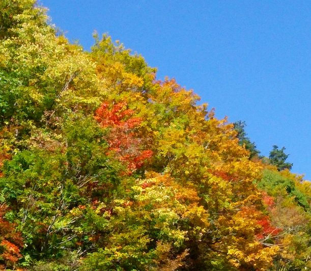 b0091187_2302163.jpg