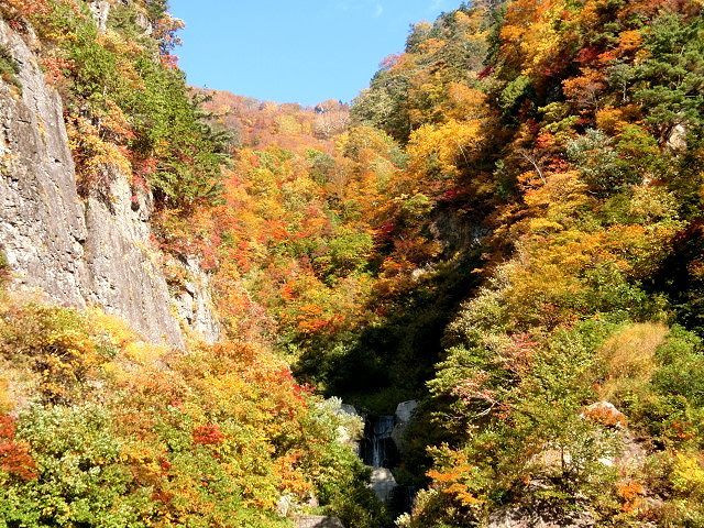 b0091187_2304843.jpg