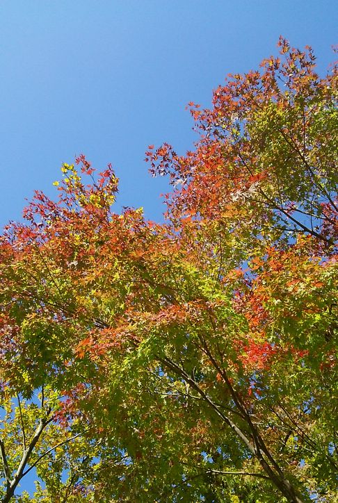 b0091187_230970.jpg