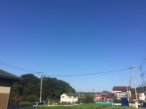 d0135694_16105223.jpg