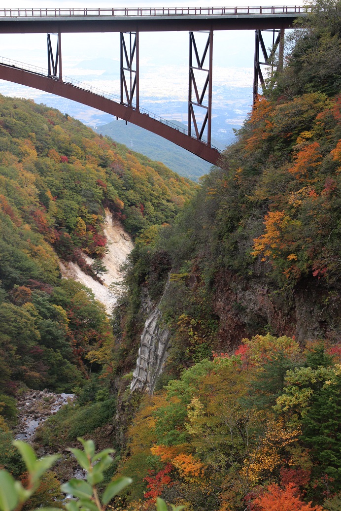 f0034602_21323714.jpg