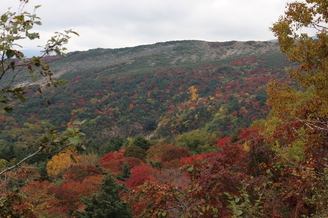 f0034602_21351488.jpg