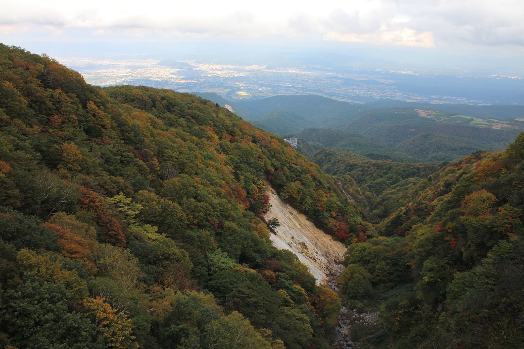 f0034602_21421372.jpg
