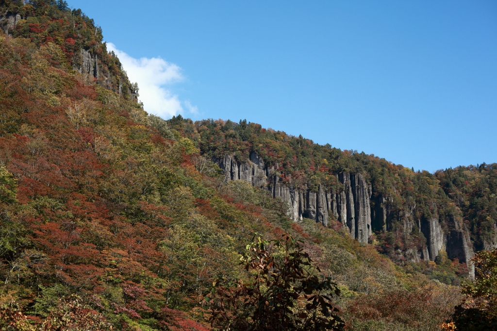 b0050305_193136.jpg