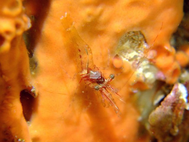 d0175710_21435855.jpg