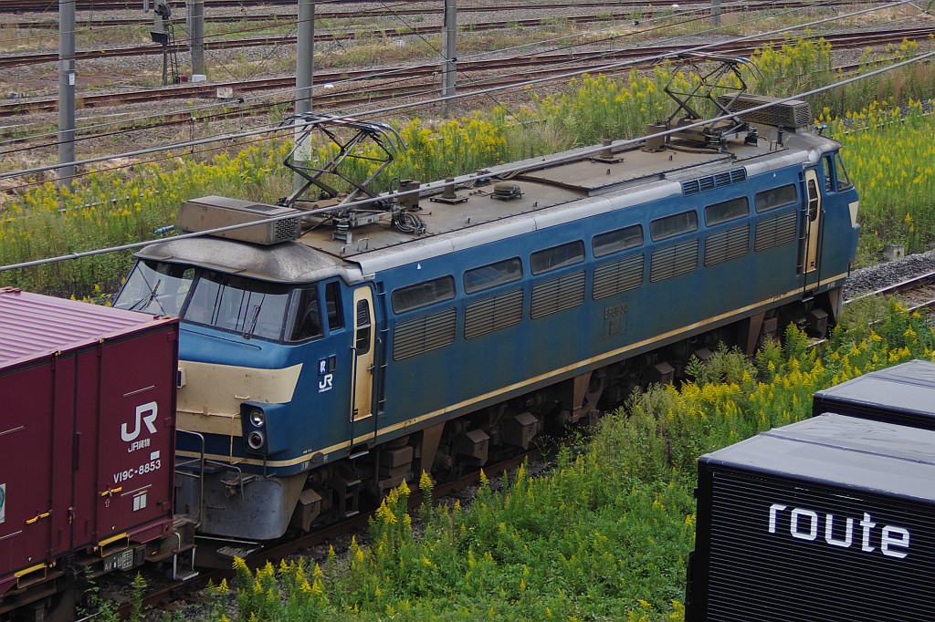 f0203926_2352990.jpg