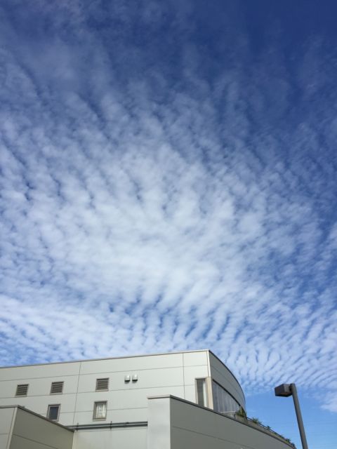 f0229926_1527207.jpg