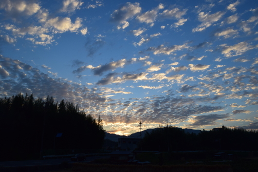 a0228333_20242757.jpg