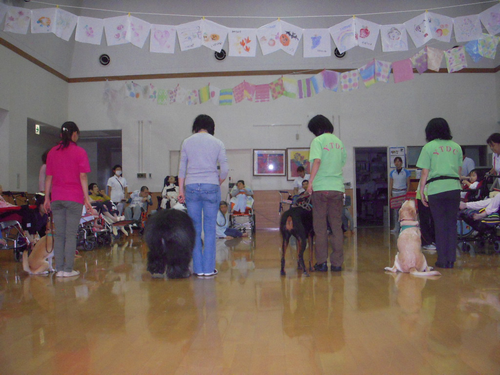 c0114833_8484174.jpg