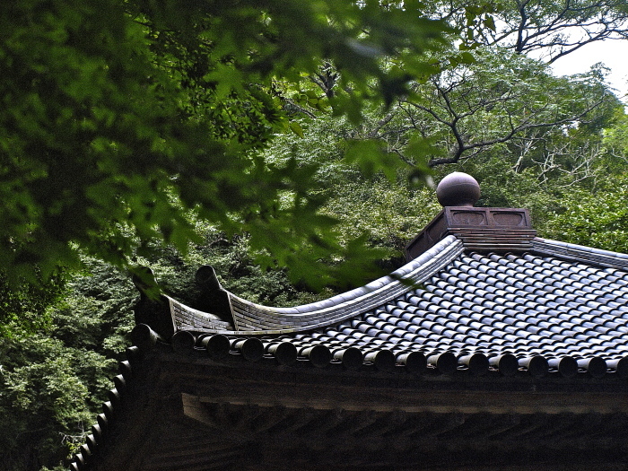 f0315034_14383569.jpg