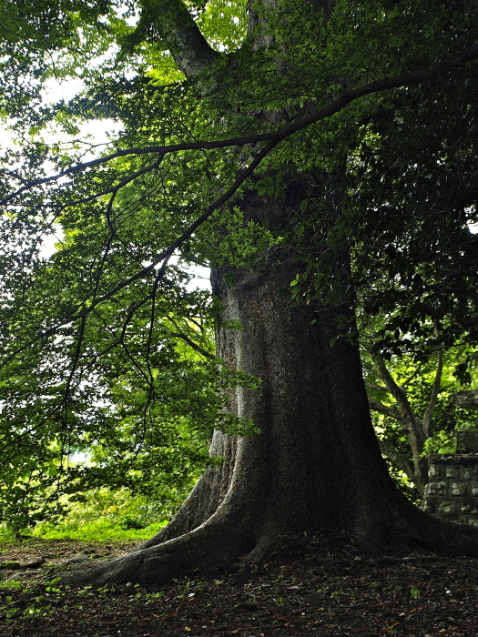 f0315034_14523802.jpg