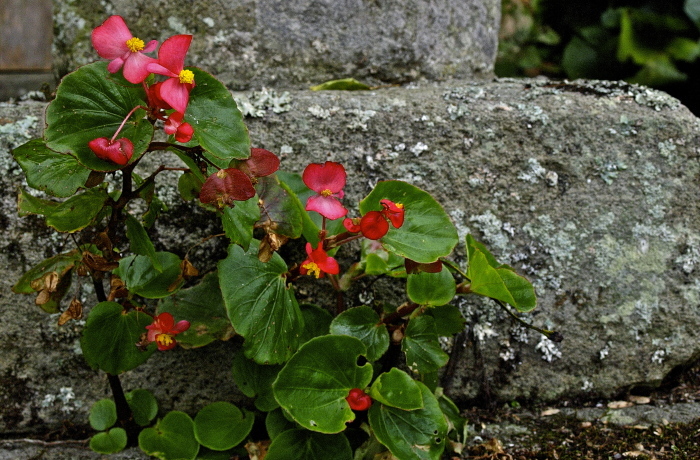 f0315034_14541407.jpg