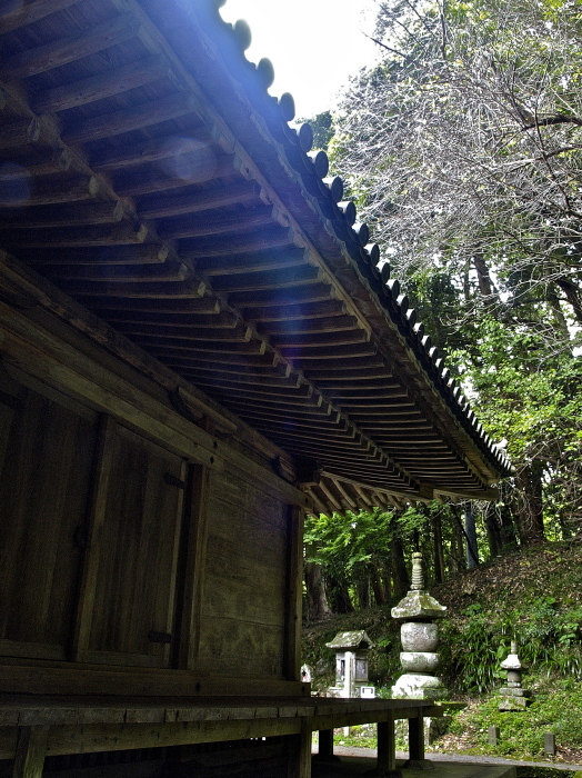 f0315034_15423247.jpg