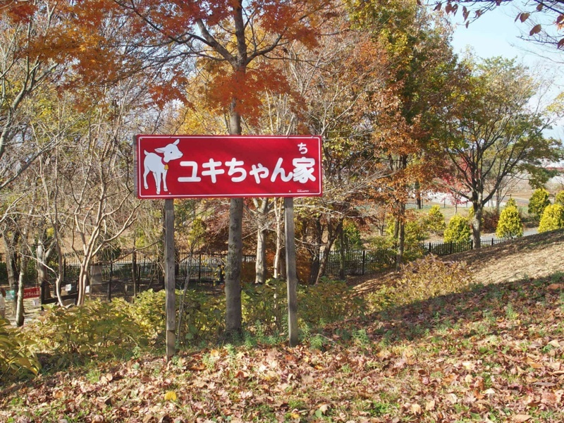 a0103037_14511227.jpg