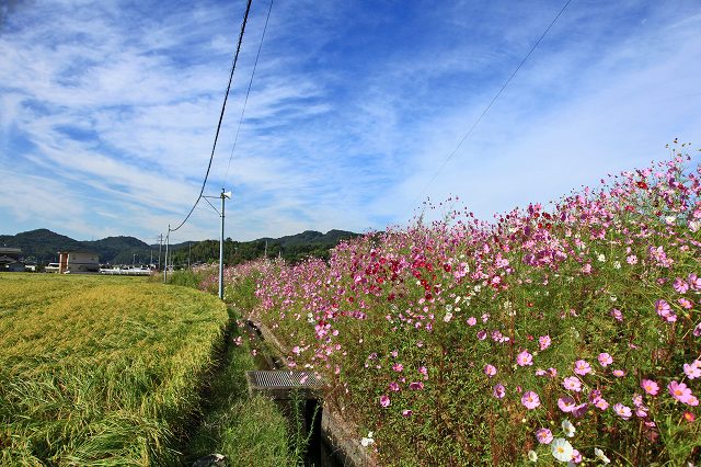 a0242438_19131719.jpg