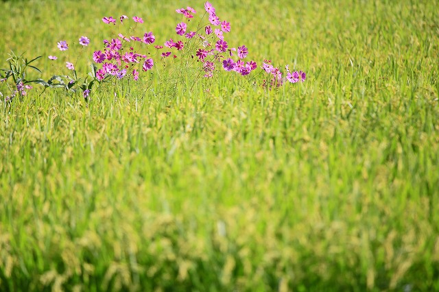 a0242438_1913441.jpg