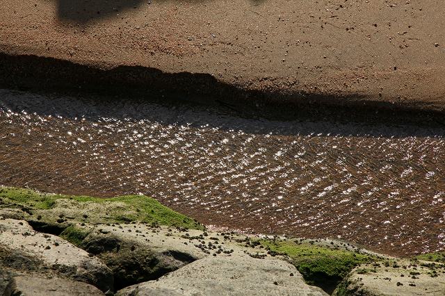 a0242438_1944899.jpg