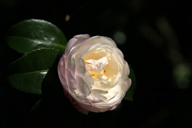 a0242438_1951992.jpg