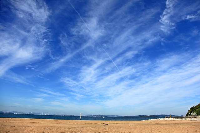 a0242438_195830.jpg