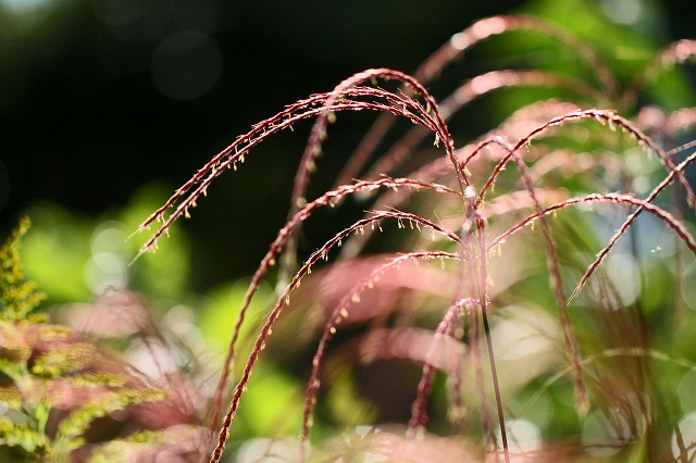 a0242438_1962230.jpg